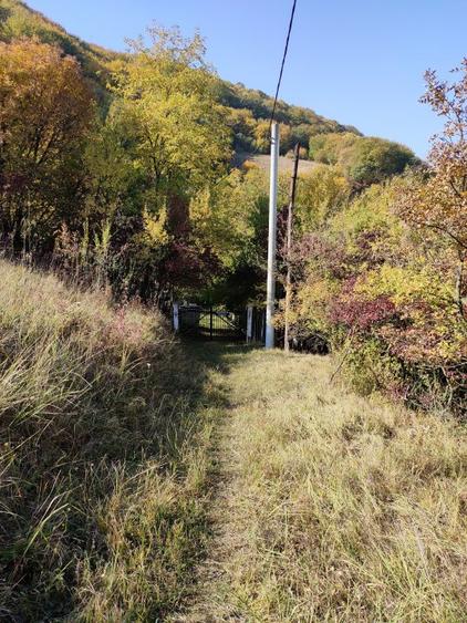 TEREN INTRAVILAN CABANA SI DEPOZIT DE UNELTE