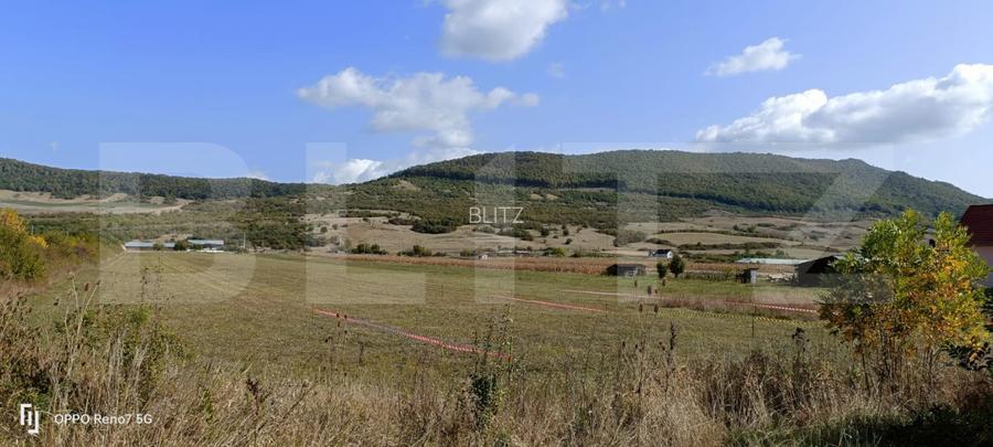 Teren 49 Ari, partial intravilan 13 ari, cu deschidere la DN17, Sieu Magherus - 5