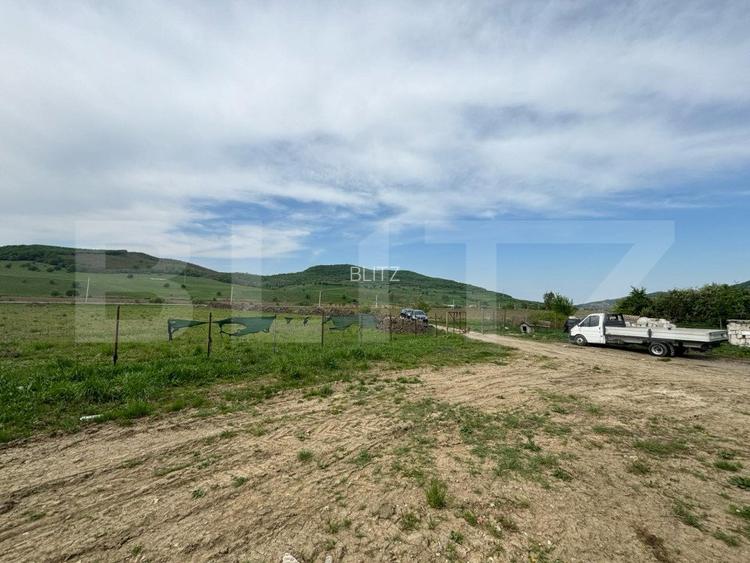 Hala, 230mp , zona Sud - 5