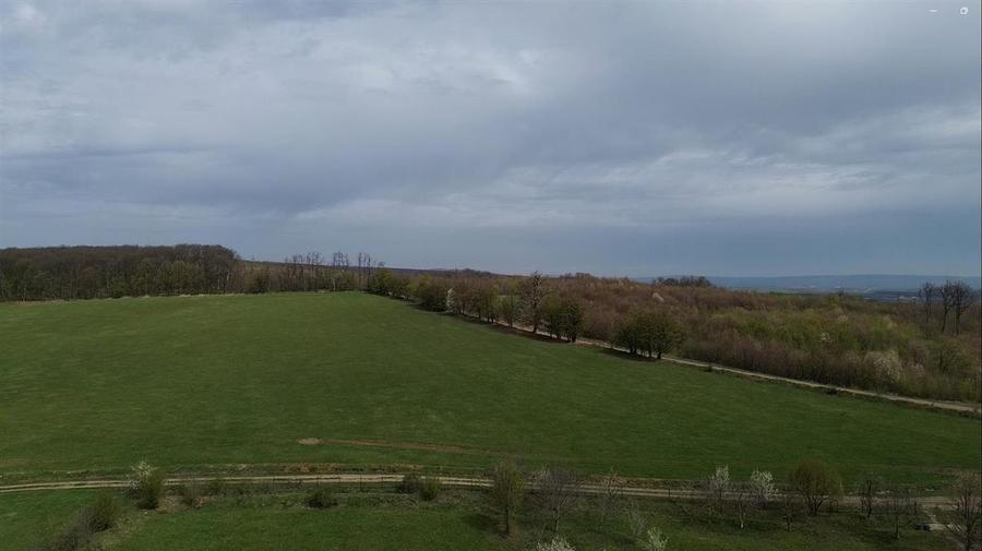 Teren intravilan de vânzare în Mitocu Dragomirnei | 5.800 mp | 43 m de