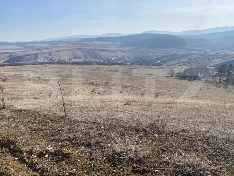Teren extravilan in suprafata de 140551 mp in loc. Recea