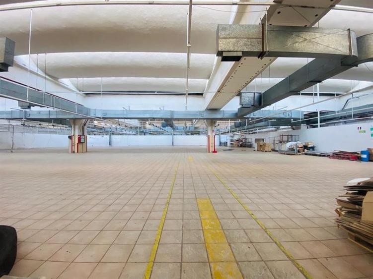 Hala str. Stefan cel Mare Vaslui, langa mall, 9023mp