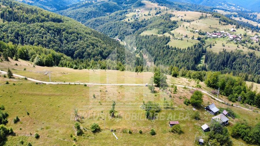 Teren intravilan | 3565 mp | Ideal constructie cabane | Garda de Sus