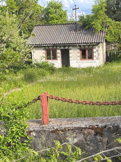Vand Proprietate Premium 11,5 ha teren si constructii - 13
