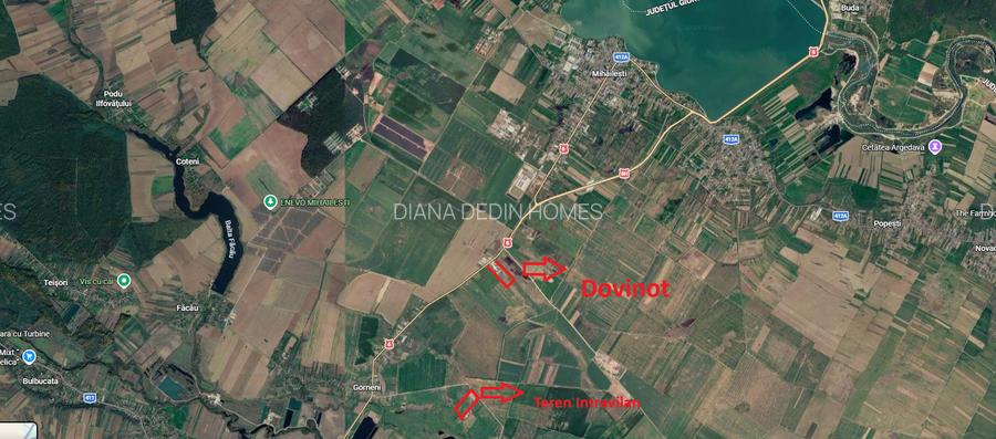 Teren intravilan de vânzare – 33.700 mp Gorneni, com. Iepuresti, Giurgiu