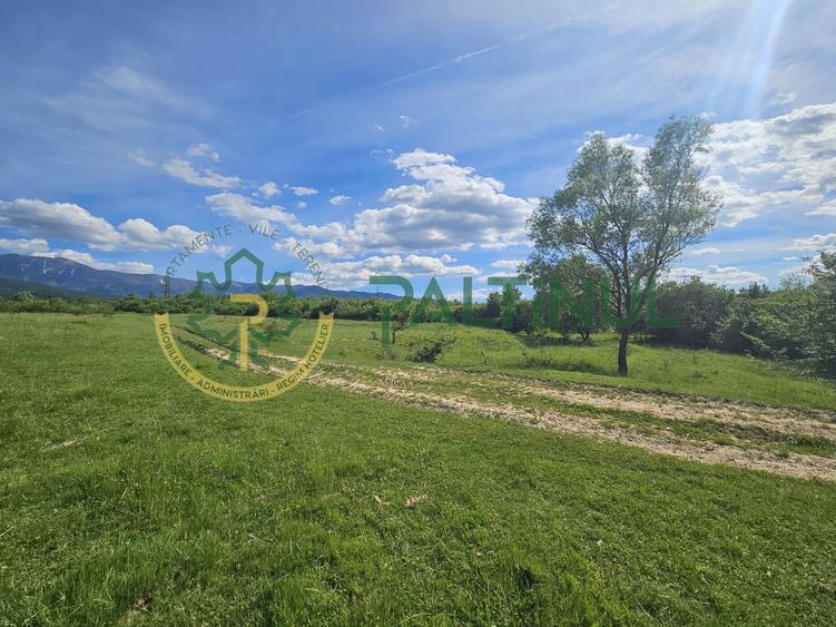 Teren de vânzare în Racovița, Sibiu – Valea Lupului