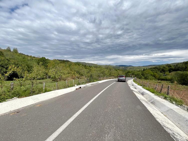 Teren 9.800 mp – Investiție ideală în mijlocul naturii | 10€/mp - Comision 0%