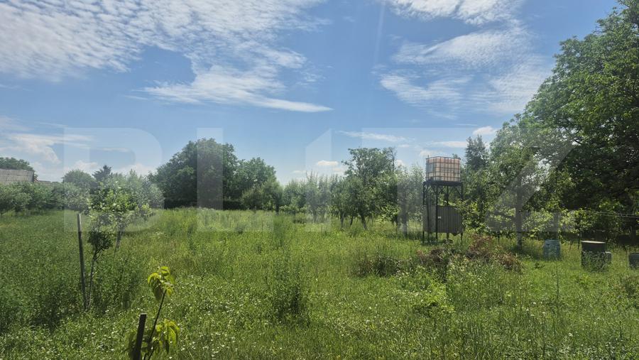 Proprietate de vanzare, teren 5488 mp, localitatea Ambud, comuna Paulesti