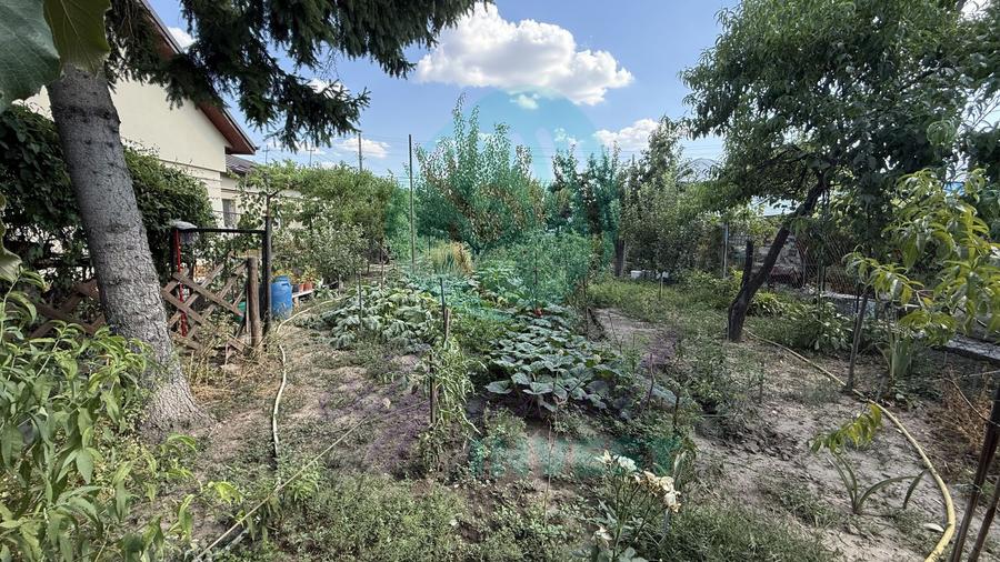 Casă parter + 1100 mp teren în Popești-Leordeni