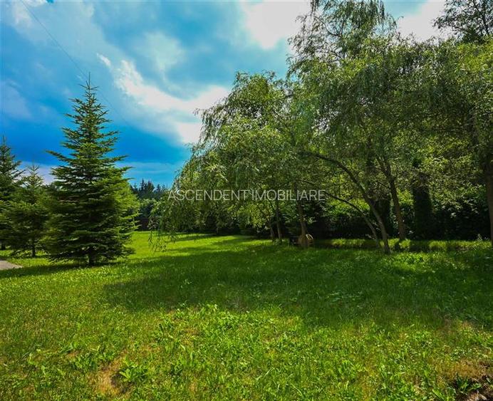 FILM!Resedinta cu farmec montan, domeniu de 1.700 mp,cadru select,Timisul de Sus - 19