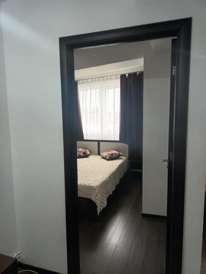 Apartament 2 camere tip studio Brazda regia de tutun