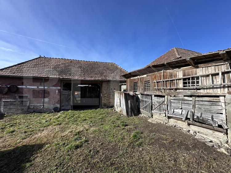 Casa la tara, 4000 mp teren, utilitati, acces A10, sat Dumbrava
