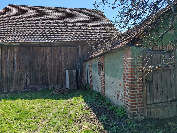 Casa 3 camere libera la vanzare TARLUNGENI