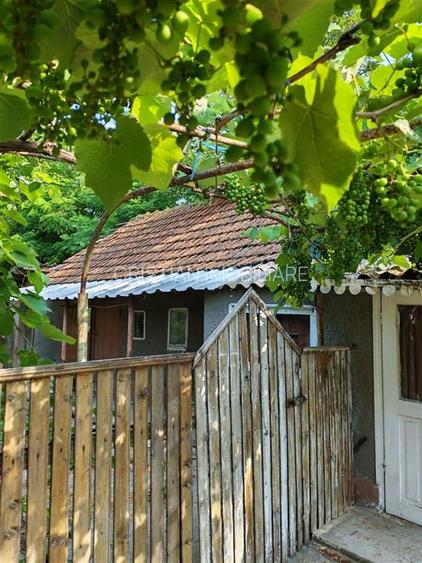 Casa 6 camere, teren 1586 mp, deschidere 22 m, Cazasu - 5