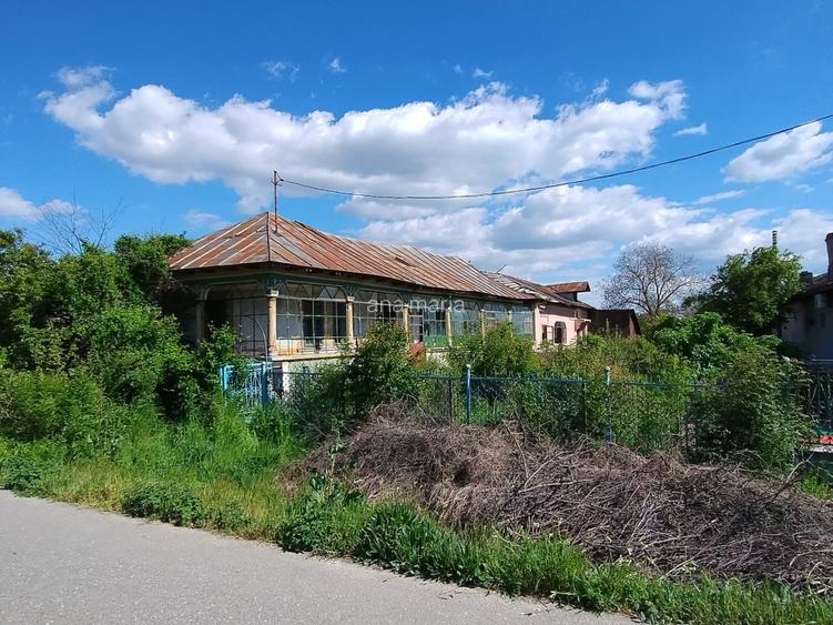 Particular Negociabil vand casa  batraneasca Tantava Giurgiu teren 2500 mp - 3