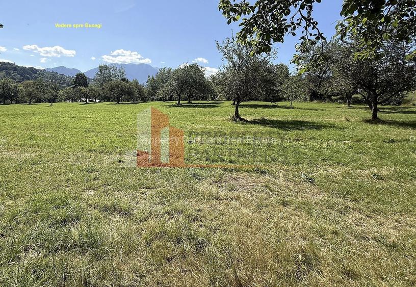 Teren 4558 mp cu casă tradițională, Sohodol, Bran - 11