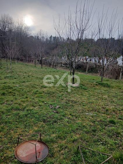 Teren de vânzare – Dragodănești , 1.600 mp