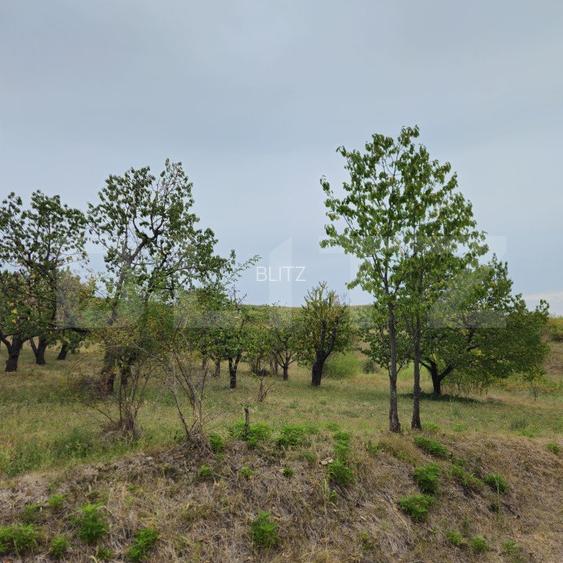 Teren extravilan 17524 mp, expunere sudica, Viforata - 11