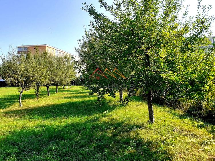 Casa 3 camere, teren 3625 mp, toate utilitatile, Sacele, Brasov