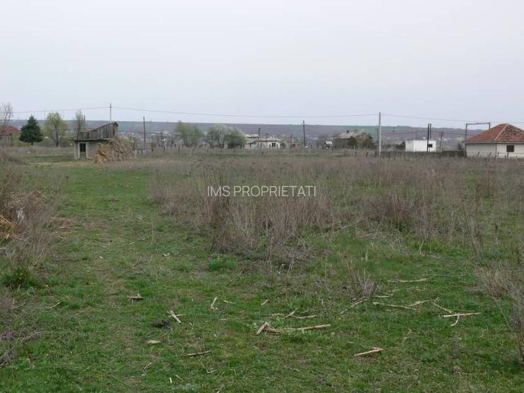 Vand teren 6170 mp in Vaslui, localitate Negresti - 4