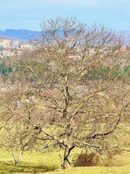 PROIECTUL TAU AICI / Poiana Campina / 8200 Mp/ Utilitati / Rasaritul Perfect