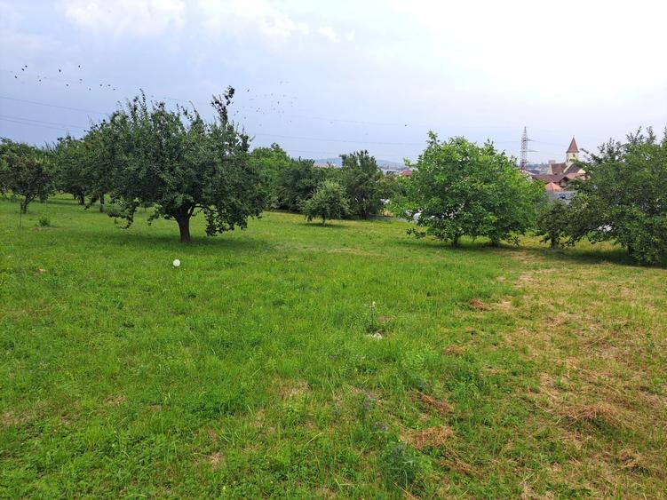 Teren intravilat| Zona rezidentila 1156 mp-TURNISOR