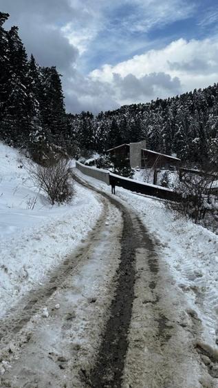 Vand Teren Intravilan 3000mp, PUZ aprobat, Poiana Angelescu, Sacele, Brasov