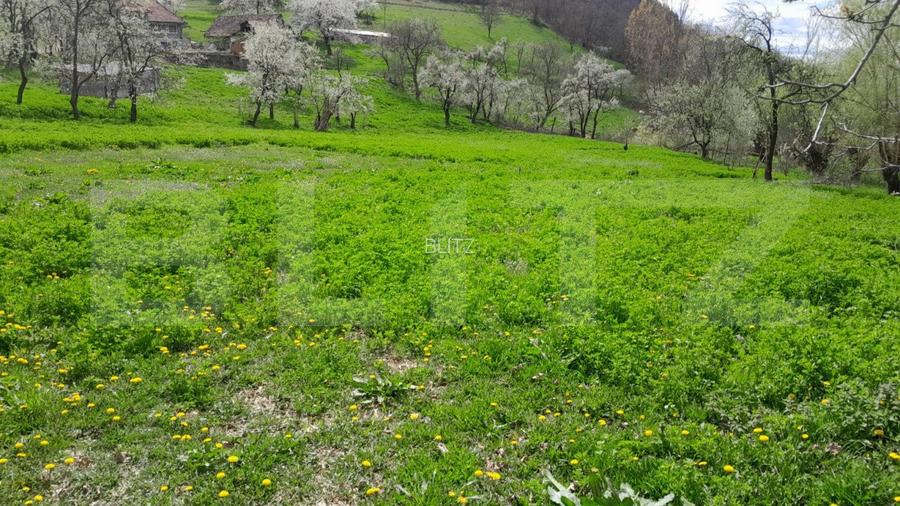 Casa individuala, 3500 mp teren, zona Vintu de Jos, Inuri - 3