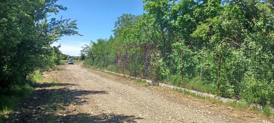 Săbăreni, lot de casă 1050 mp, curent lângă teren