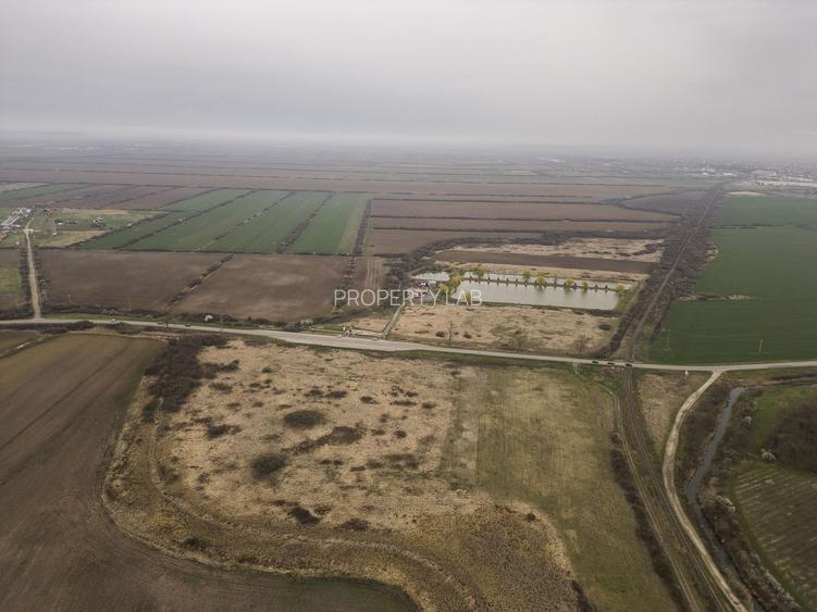 Teren extravilan in Ineu - 14
