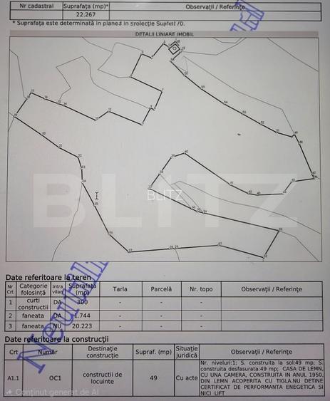 Teren 22.267 mp (intravilan + extravilan) cu construcție, Trâncești, Scărișoara - 4