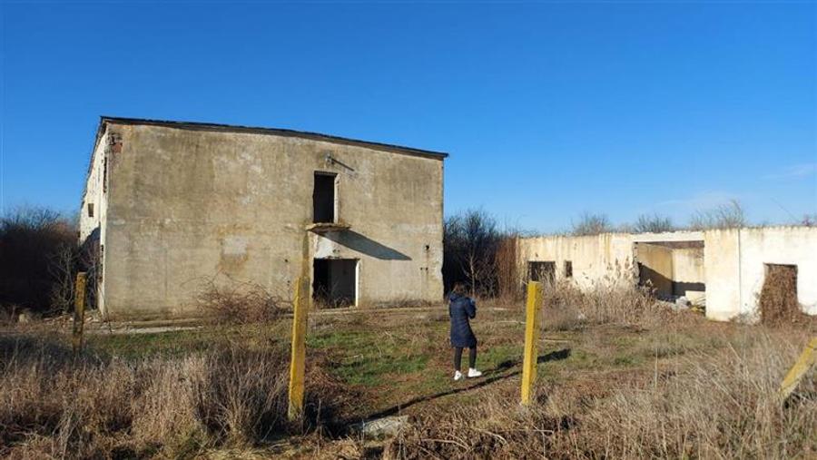Vanzare depozit/hala/spatiu industrial Buftea -Crevedia - Butimanu - DN1A, Dambo