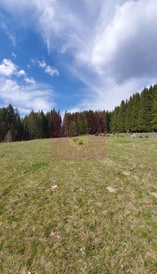 Teren intravilan 2500 mp in Valea Doftanei