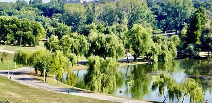 Teren 680 mp langa parcul Tineretului