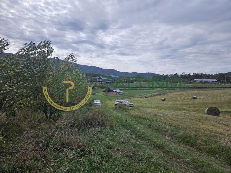 Teren de vanzare ,Tocile, Sibiu, case de vacanta si locuinte
