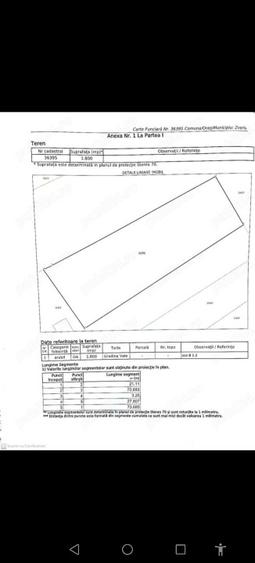 Casă 75 mp + teren 2700 mp în Șerbănești | Curte și grădină