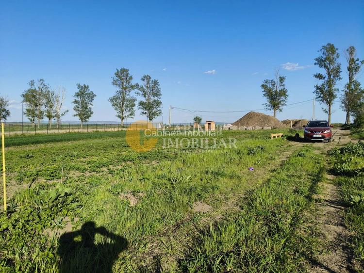 🌳 Teren Intravilan iesire Vorovești - 500 mp - 20.000 Euro 🏡 - 7