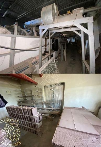 Business/Casa/Hala - 28 ari - Livezile- EXCLUSIVITATE