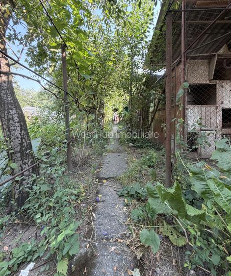 Casa individuala 6 camere, 165 mp utili, 641 mp teren - Ghiroda - 15