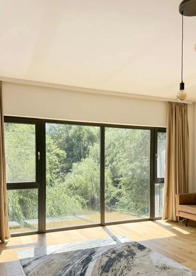 Pet Friendly Apartment Pipera