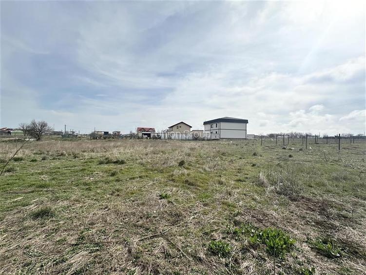 Teren intravilan 513 mp, Zona Viile Noi, Constanta - 2