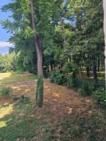 Apartament 1 camera-Gradina privata-Parcul Copou
