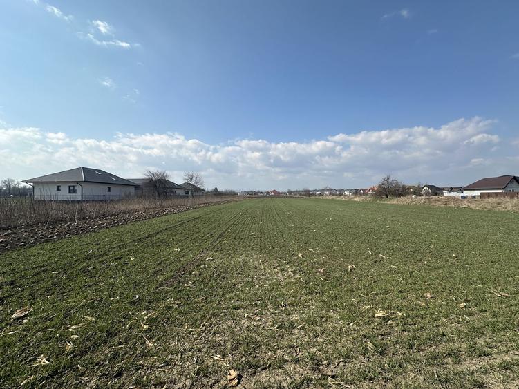 Teren intravilan 20 ari | Rădăuți | Front stradal 19.49 m