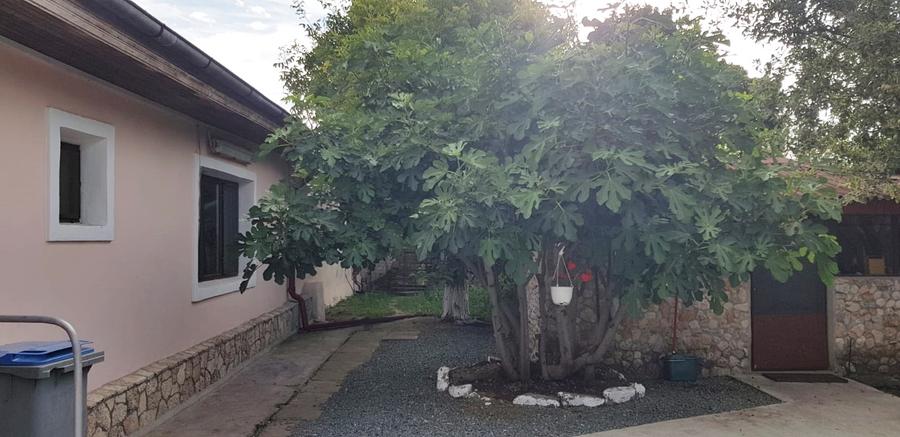 Vanzare 3 case moderne + 3 anexe si 2000 mp teren gradina, pomi in Tuzla la mare