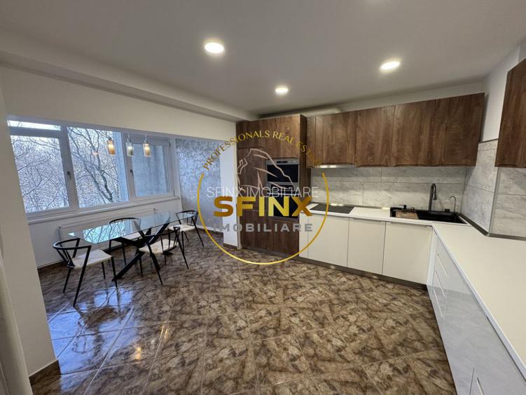 Kiseleff Delavrancea, 4 room, furnished apartment for rent, pet friendly - 3