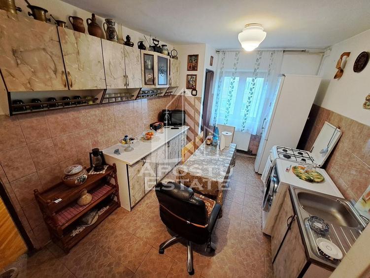 Apartament de inchiriat 2 camere, centrala termica Dambovita Timisoara