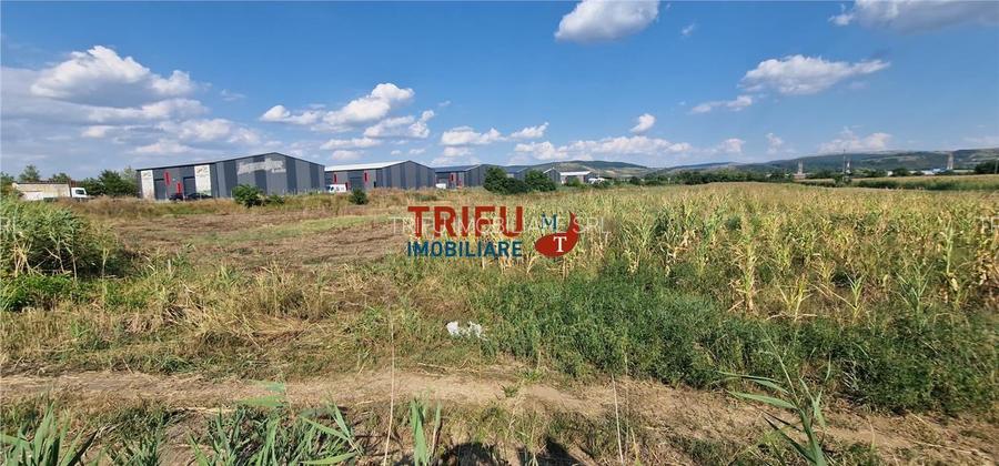 Teren intravilan 5.756 mp cu acces direct la Șoseaua de Centură – Alba - 5