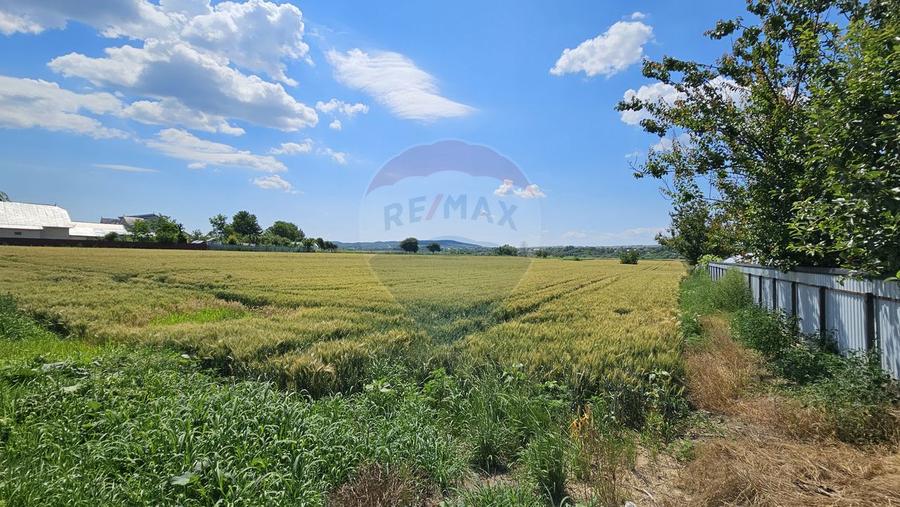 Teren 15,000mp Salcea-Prelipca, Suceava
