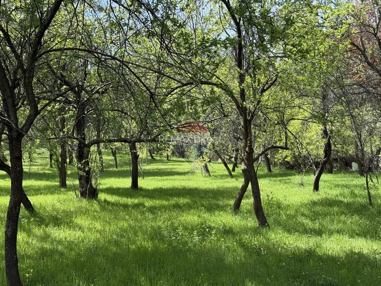 Casă de vânzare în zona Câmpulung înconjurată de natura - 12