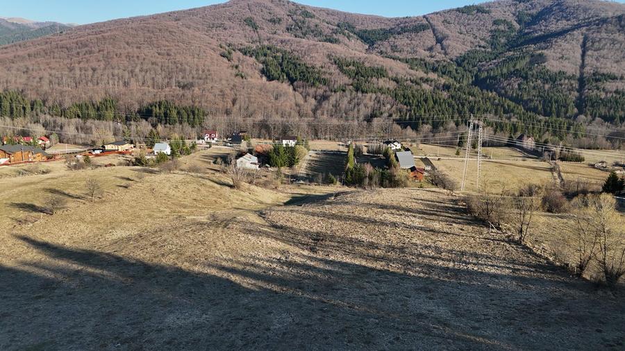 Teren intravilan la baza pădurii Valea Doftanei sat Traisteni (poduri)